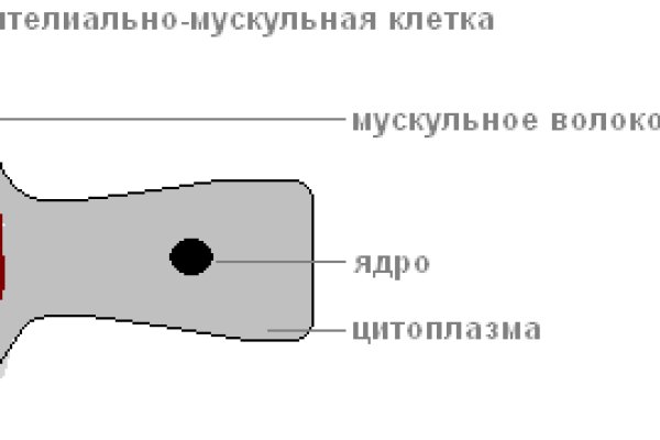 Кракен даркнет что известно